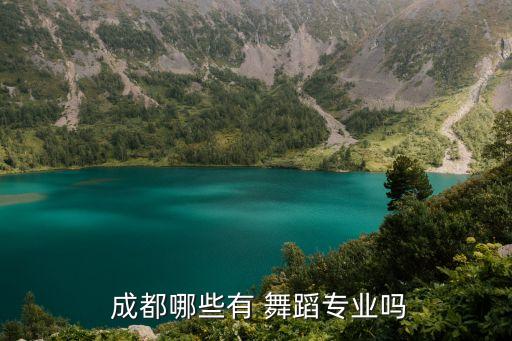  成都哪些有 舞蹈专业吗