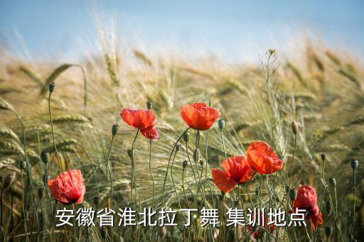 安徽省淮北拉丁舞 集训地点