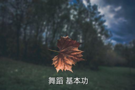  舞蹈 基本功