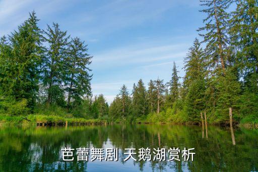 芭蕾舞剧 天鹅湖赏析