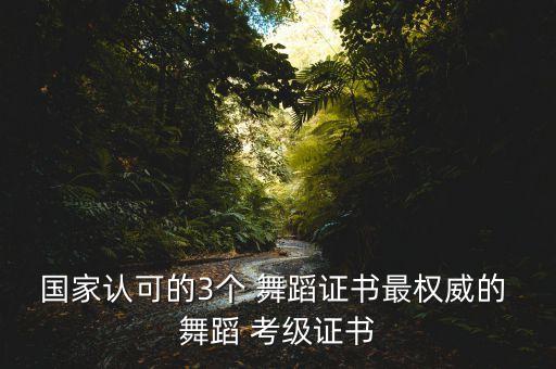 八舞蹈考级小旅行,舞蹈考级报名入口