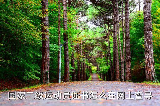 国家二级运动员证书怎么在网上查寻