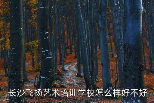  长沙飞扬艺术培训学校怎么样好不好