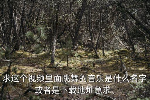 求这个视频里面跳舞的音乐是什么名字或者是下载地址急求、