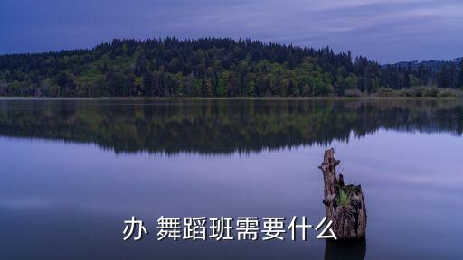 办 舞蹈班需要什么