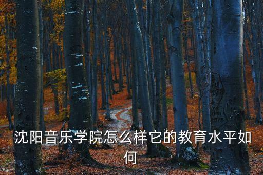  沈阳音乐学院怎么样它的教育水平如何