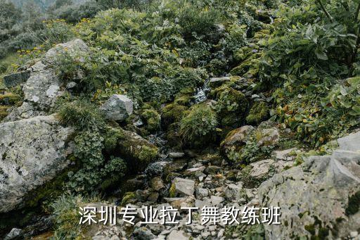 星蕾舞蹈学校收费标准,大连国际舞蹈学校收费标准