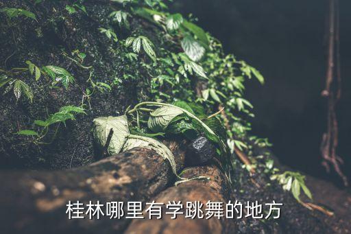 桂林哪里有学跳舞的地方