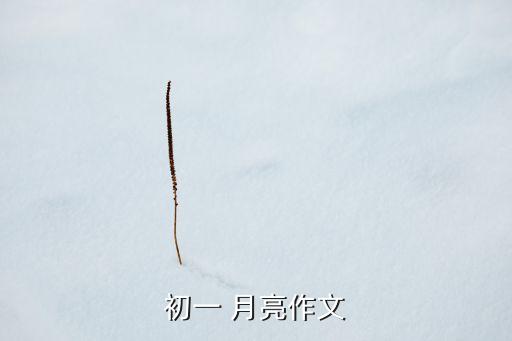 给月亮的悄悄话舞蹈视频,说句悄悄话舞蹈考级视频一级