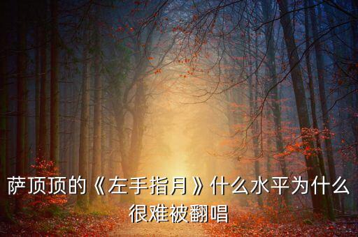 萨顶顶的《左手指月》什么水平为什么很难被翻唱