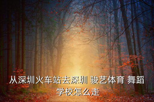 从深圳火车站去深圳 骏艺体育 舞蹈 学校怎么走