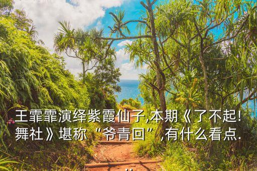 王霏霏演绎紫霞仙子,本期《了不起!舞社》堪称“爷青回”,有什么看点...