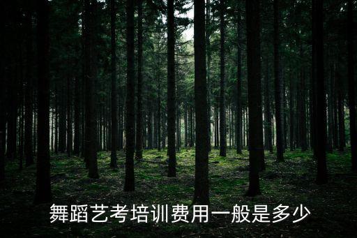 小学舞蹈培训班多少钱