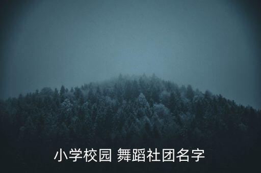 小学校园 舞蹈社团名字