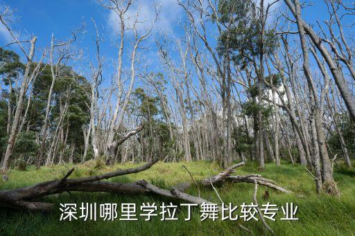 深圳青少年舞蹈学校招生,南方舞蹈学校招生条件学费