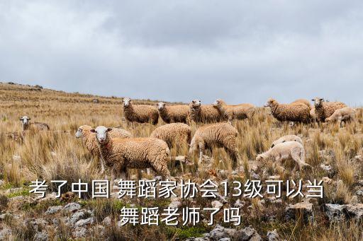 考了中国 舞蹈家协会13级可以当 舞蹈老师了吗