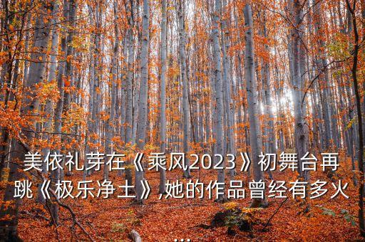 美依礼芽在《乘风2023》初舞台再跳《极乐净土》,她的作品曾经有多火...