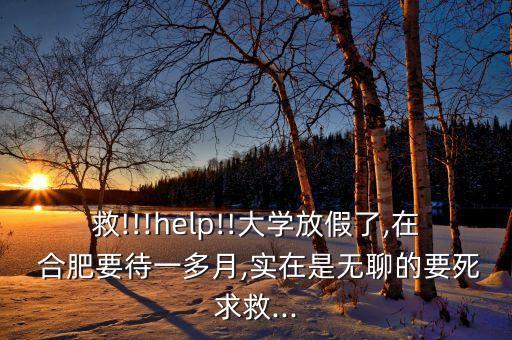 救!!!help!!大学放假了,在 合肥要待一多月,实在是无聊的要死求救...