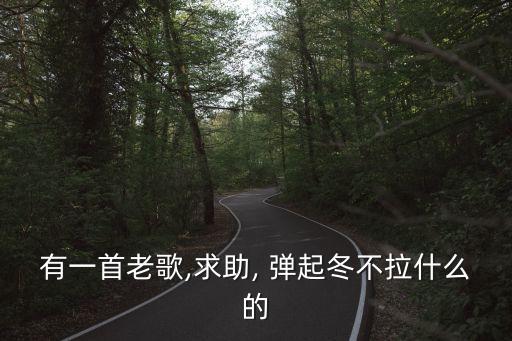 有一首老歌,求助, 弹起冬不拉什么的