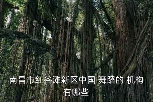 南昌市红谷滩新区中国 舞蹈的 机构有哪些