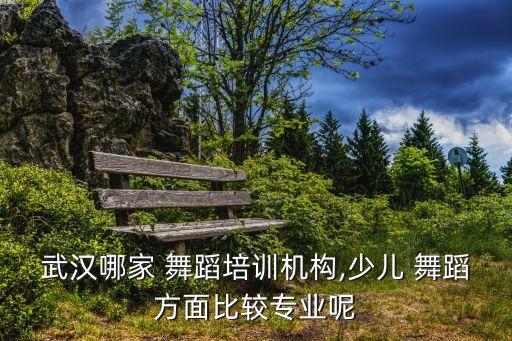 武汉哪家 舞蹈培训机构,少儿 舞蹈方面比较专业呢