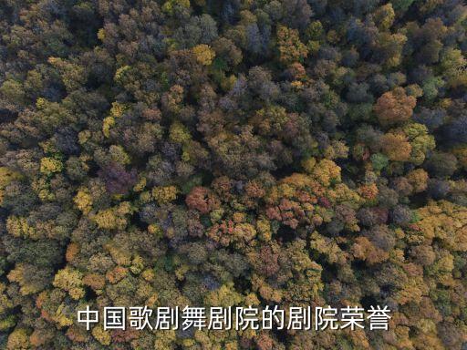 中国歌剧舞剧院的剧院荣誉
