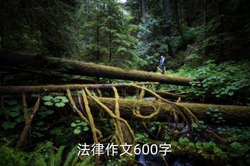 法律作文600字