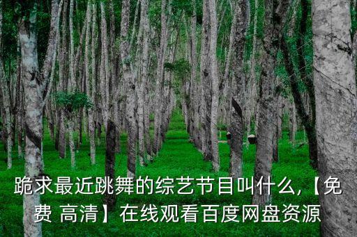 跪求最近跳舞的综艺节目叫什么,【免费 高清】在线观看百度网盘资源