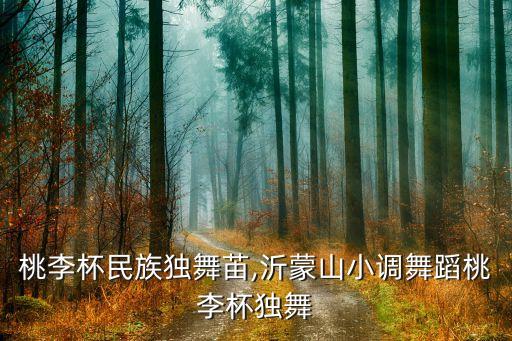 舞蹈桃李杯民族独舞苖,沂蒙山小调舞蹈桃李杯独舞