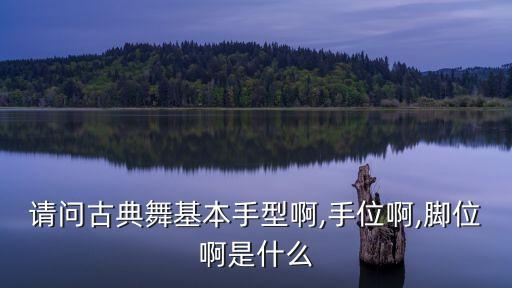 请问古典舞基本手型啊,手位啊,脚位啊是什么