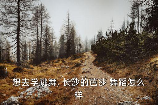 想去学跳舞, 长沙的芭莎 舞蹈怎么样