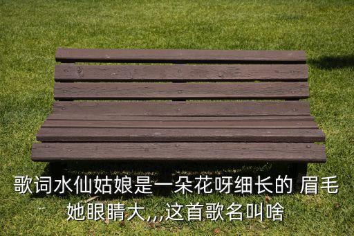 歌词水仙姑娘是一朵花呀细长的 眉毛她眼睛大,,,这首歌名叫啥