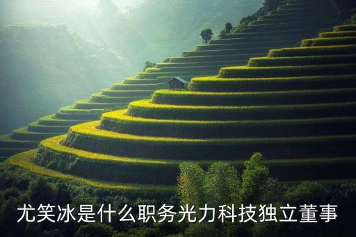 尤笑冰是什么职务光力科技独立董事