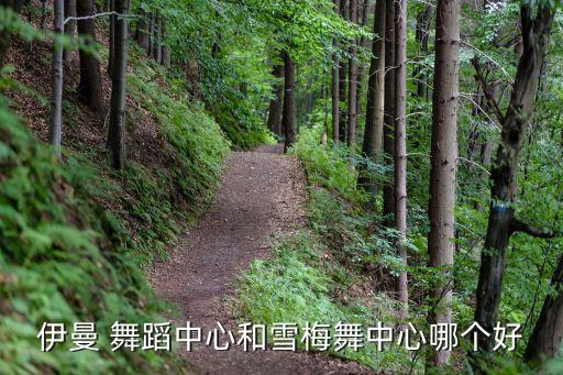 伊曼 舞蹈中心和雪梅舞中心哪个好