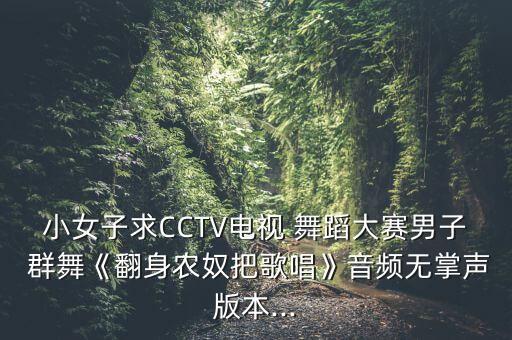 小女子求CCTV电视 舞蹈大赛男子 群舞《翻身农奴把歌唱》音频无掌声版本...