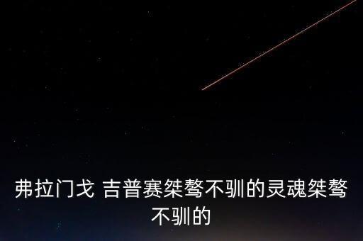 弗拉门戈 吉普赛桀骜不驯的灵魂桀骜不驯的
