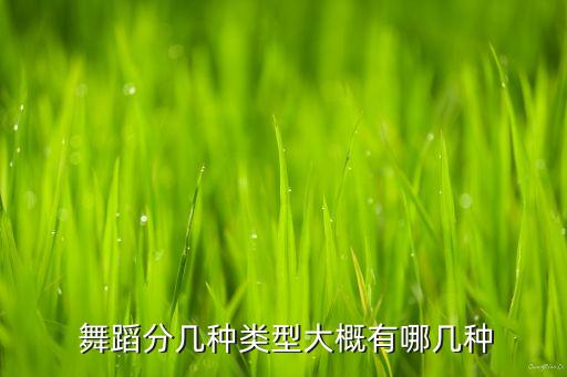  舞蹈分几种类型大概有哪几种