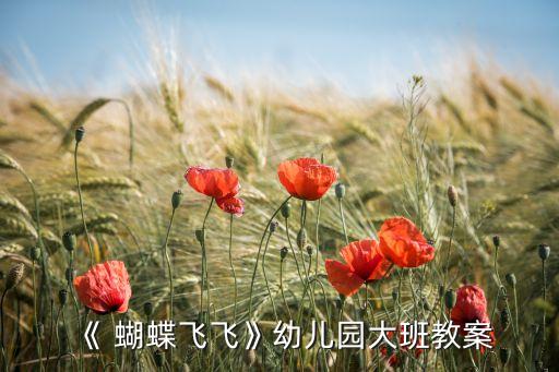《 蝴蝶飞飞》幼儿园大班教案