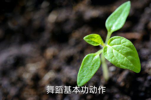舞蹈柔软度训练视频,手腕的柔软度训练视频