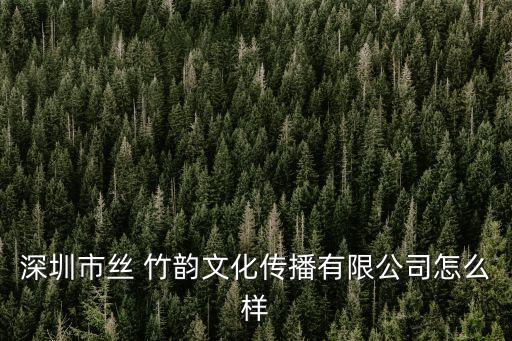 深圳市丝 竹韵文化传播有限公司怎么样