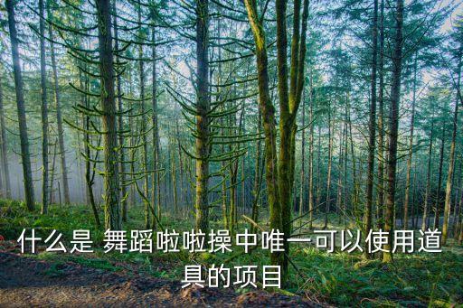 什么是 舞蹈啦啦操中唯一可以使用道具的项目