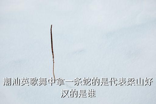 潮汕英歌舞中拿一条蛇的是代表梁山好汉的是谁