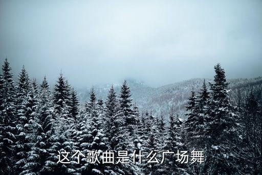 这个歌曲是什么广场舞