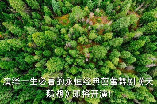 演绎一生必看的永恒经典芭蕾舞剧《天鹅湖》即将开演!