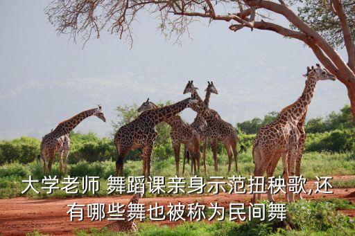 大学老师 舞蹈课亲身示范扭秧歌,还有哪些舞也被称为民间舞
