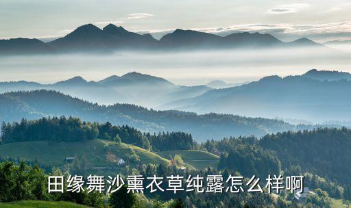田缘舞沙熏衣草纯露怎么样啊