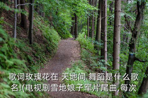 歌词玫瑰花在 天地间 舞蹈是什么歌名!(电视剧雪地娘子军片尾曲,每次
