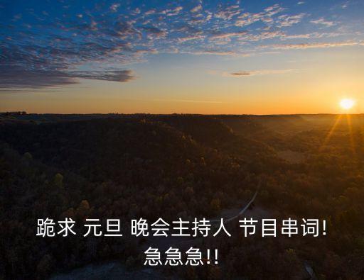 跪求 元旦 晚会主持人 节目串词!急急急!!