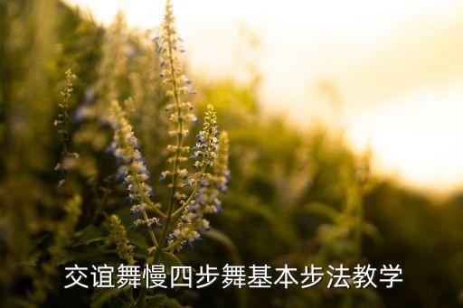 百乐门交谊舞舞蹈视频,交谊舞我爱你中国舞蹈视频
