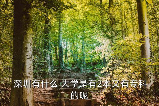 深圳舞蹈大学2本,深圳技术大学有舞蹈专业吗